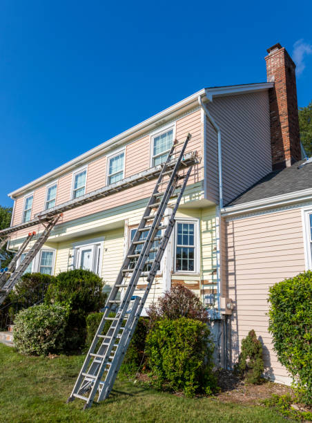 Shed Removal in Wilton Manors, FL